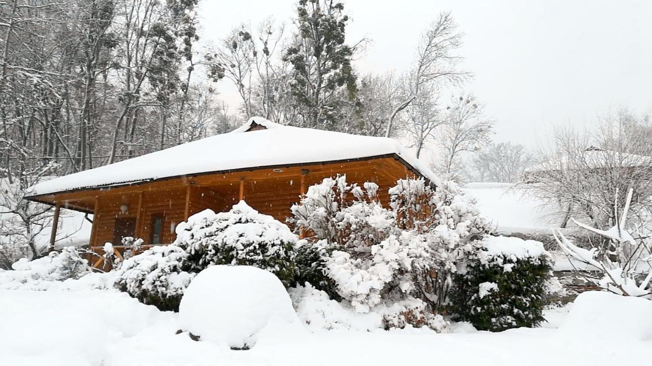 Carnaval Resort & Spa Koropovo Dış mekan fotoğraf